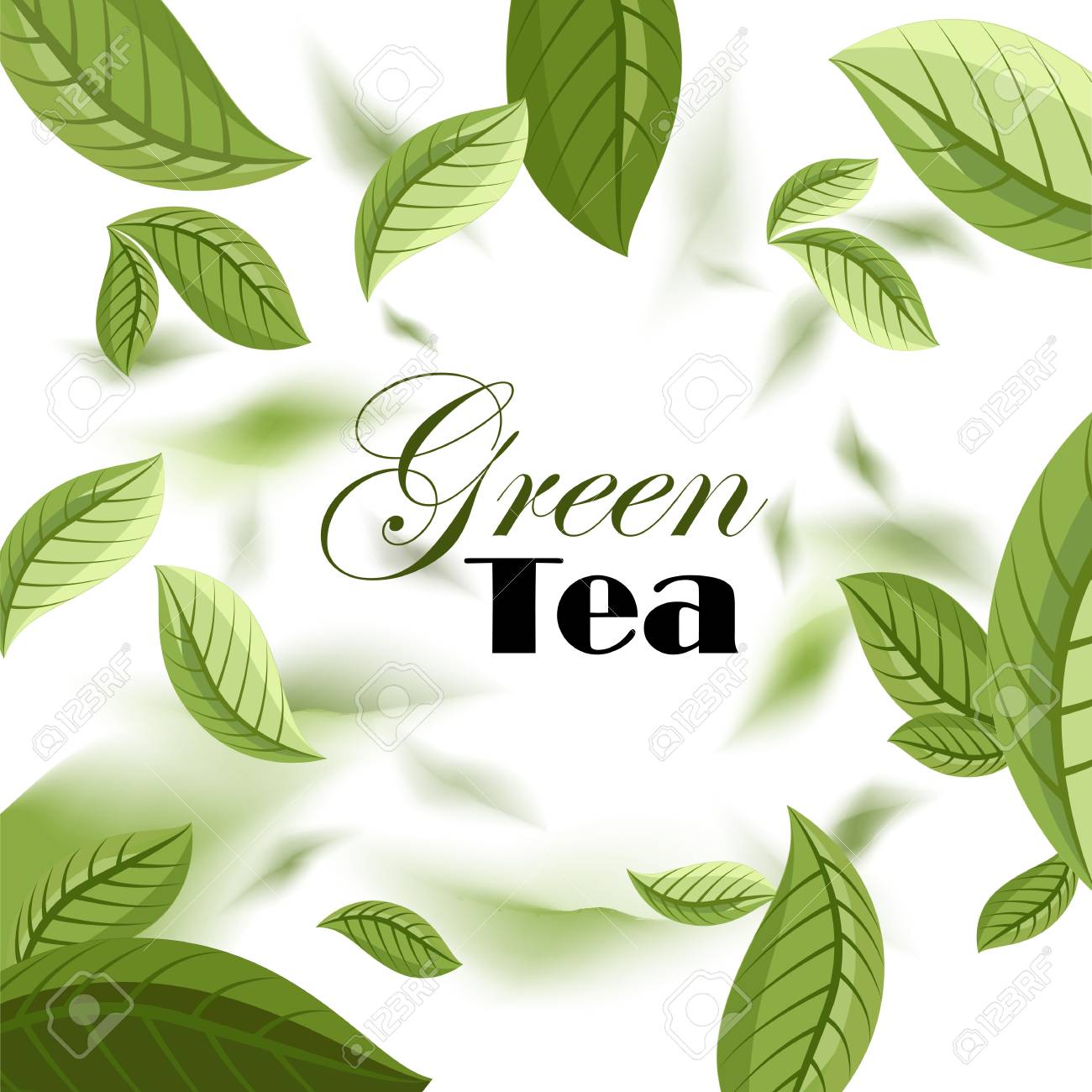 Green tea + apple cider vinegar